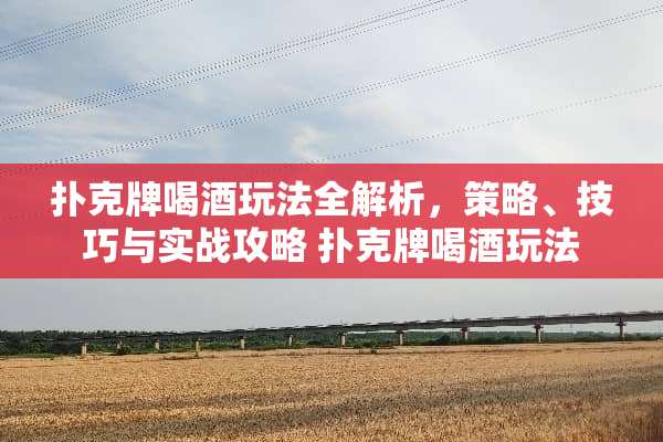 **牌喝酒玩法全解析，策略、技巧与实战攻略 **牌喝酒玩法