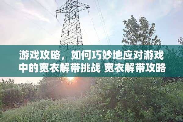 游戏攻略，如何巧妙地应对游戏中的宽衣解带挑战 宽衣解带攻略