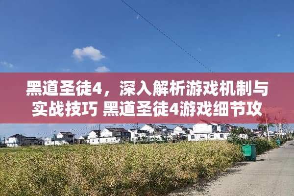 黑道圣徒4，深入解析游戏机制与实战技巧 黑道圣徒4游戏细节攻略