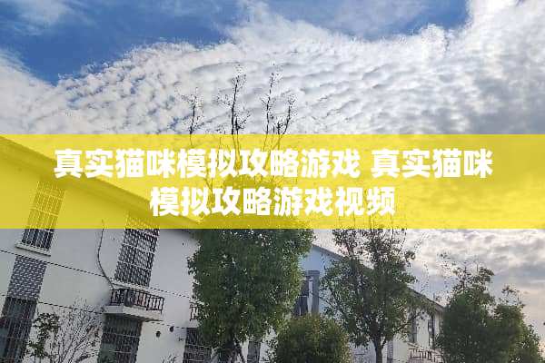 真实猫咪模拟攻略游戏 真实猫咪模拟攻略游戏视频