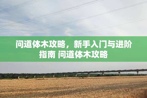 问道体木攻略，新手入门与进阶指南 问道体木攻略