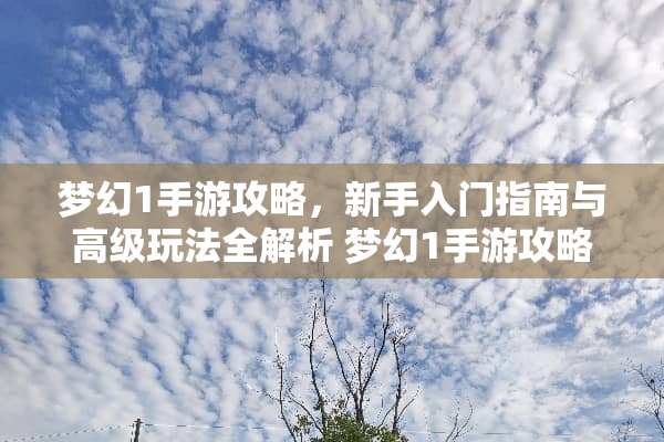 梦幻1手游攻略，新手入门指南与高级玩法全解析 梦幻1手游攻略游戏