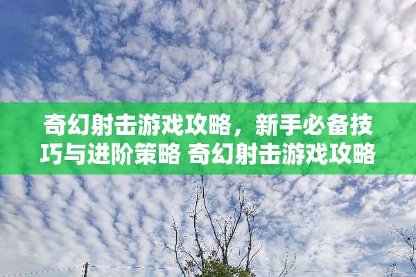 奇幻射击游戏攻略，新手必备技巧与进阶策略 奇幻射击游戏攻略