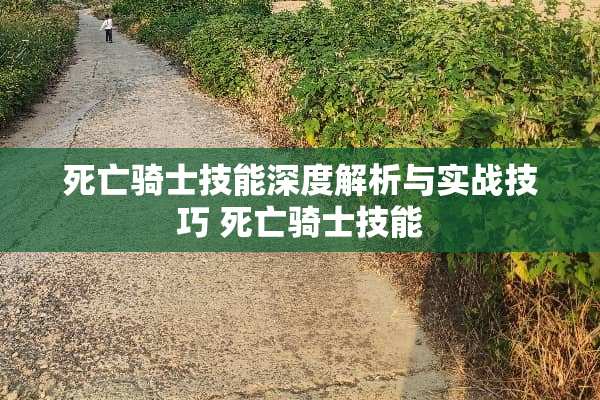 死亡骑士技能深度解析与实战技巧 死亡骑士技能