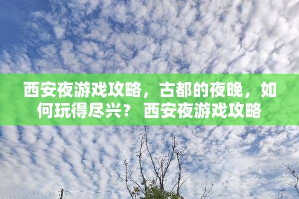 西安夜游戏攻略，古都的夜晚，如何玩得尽兴？ 西安夜游戏攻略