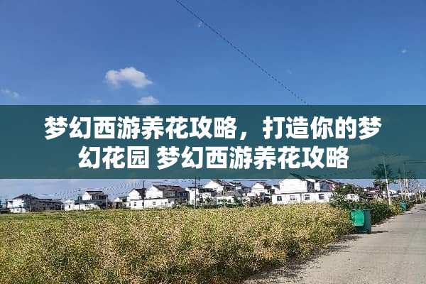 梦幻西游养花攻略，打造你的梦幻花园 梦幻西游养花攻略