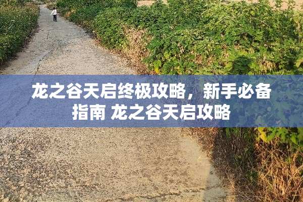 龙之谷天启终极攻略，新手必备指南 龙之谷天启攻略