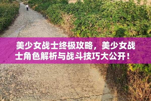 美少女战士终极攻略，美少女战士角色解析与战斗技巧大公开！ 美少女战士攻略