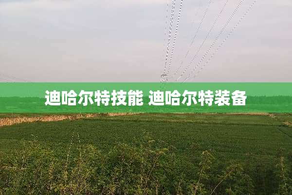 迪哈尔特技能 迪哈尔特装备