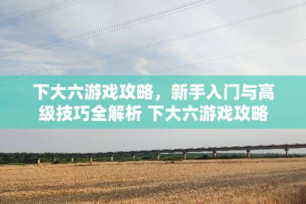 下大六游戏攻略，新手入门与高级技巧全解析 下大六游戏攻略