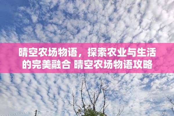 晴空农场物语，探索农业与生活的完美融合 晴空农场物语攻略