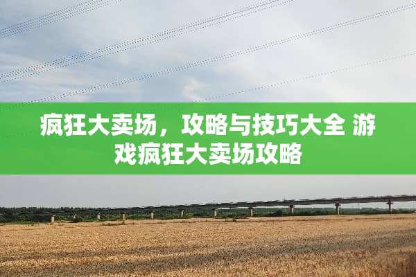 疯狂大卖场，攻略与技巧大全 游戏疯狂大卖场攻略
