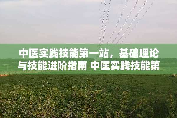 中医实践技能第一站，基础理论与技能进阶指南 中医实践技能第一站