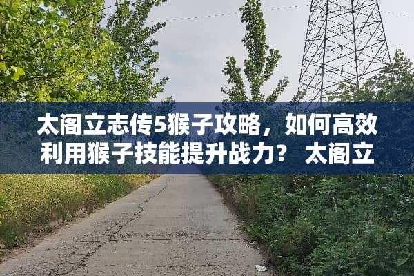 太阁立志传5猴子攻略，如何高效利用猴子技能提升战力？ 太阁立志传5猴子攻略