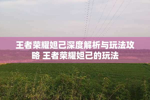 王者荣耀妲己深度解析与玩法攻略 王者荣耀妲己的玩法