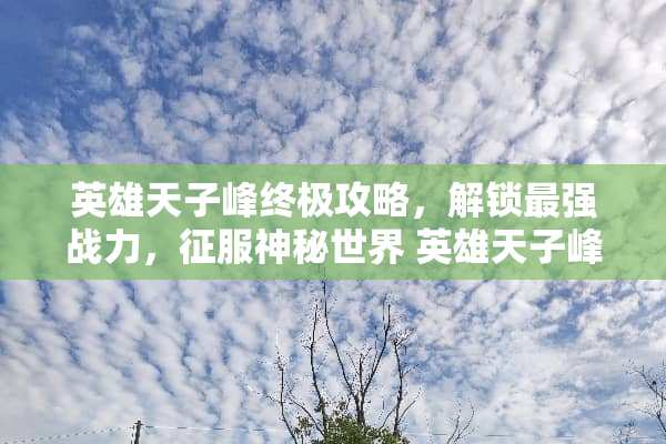 英雄天子峰终极攻略，解锁最强战力，征服神秘世界 英雄天子峰攻略