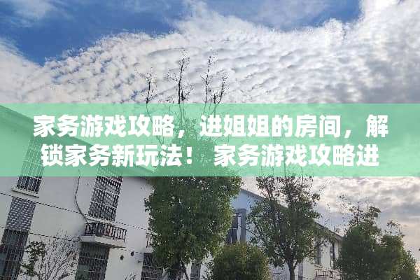 家务游戏攻略，进姐姐的房间，解锁家务新玩法！ 家务游戏攻略进姐姐的