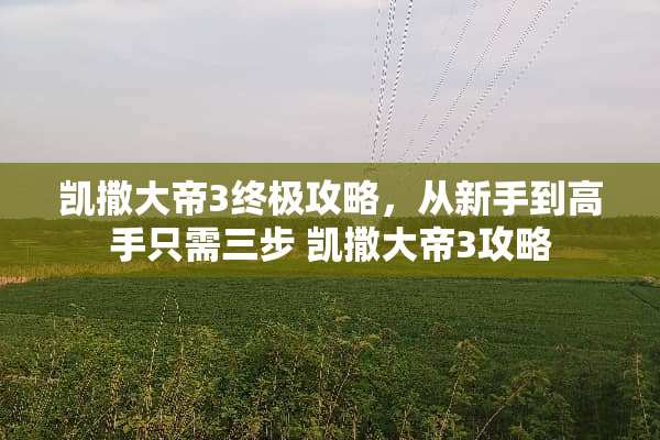 凯撒大帝3终极攻略，从新手到高手只需三步 凯撒大帝3攻略