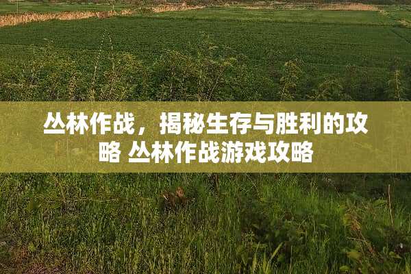 丛林作战，揭秘生存与胜利的攻略 丛林作战游戏攻略