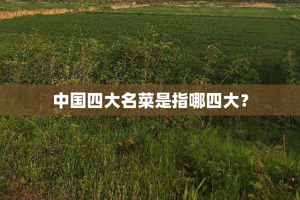 中国四大名菜是指哪四大？