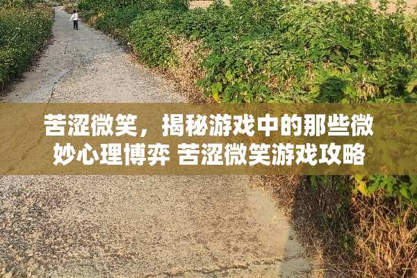 苦涩微笑，揭秘游戏中的那些微妙心理博弈 苦涩微笑游戏攻略