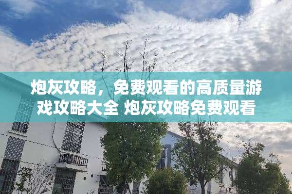 炮灰攻略，免费观看的高质量游戏攻略大全 炮灰攻略免费观看