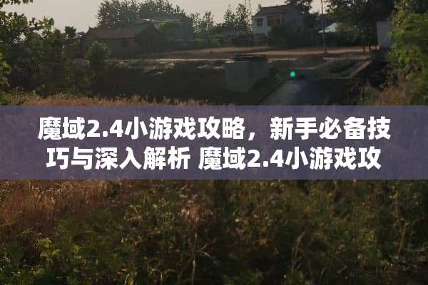 魔域2.4小游戏攻略，新手必备技巧与深入解析 魔域2.4小游戏攻略