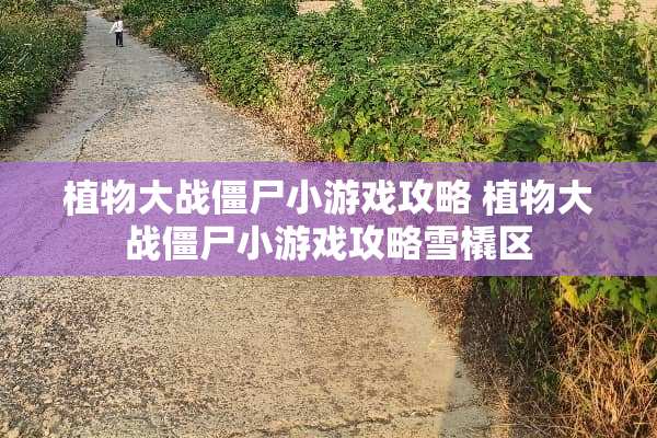 植物大战僵尸小游戏攻略 植物大战僵尸小游戏攻略雪橇区