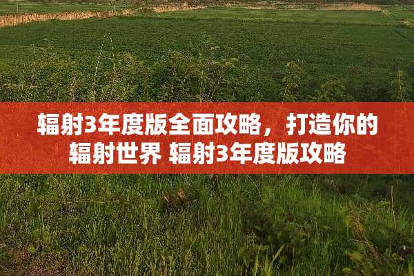 辐射3年度版全面攻略，打造你的辐射世界 辐射3年度版攻略