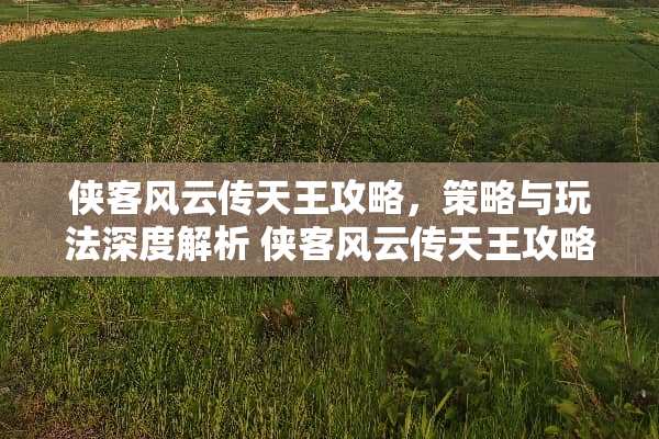 侠客风云传天王攻略，策略与玩法深度解析 侠客风云传天王攻略