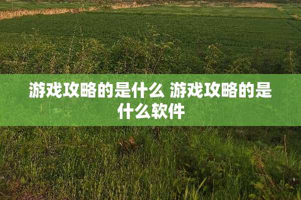 游戏攻略的是什么 游戏攻略的是什么软件