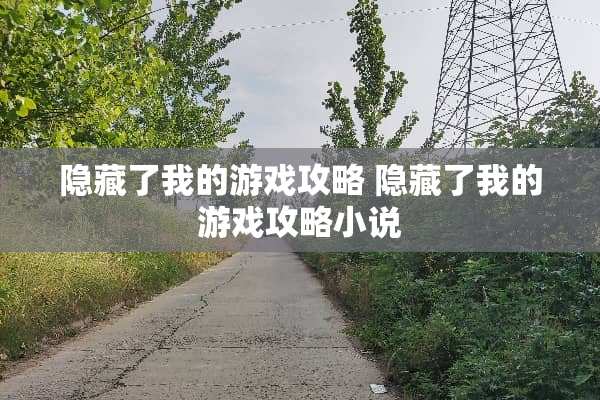 隐藏了我的游戏攻略 隐藏了我的游戏攻略小说