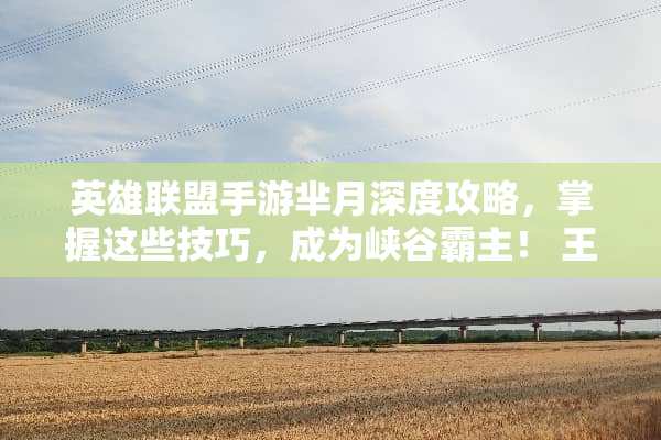 英雄联盟手游芈月深度攻略，掌握这些技巧，成为峡谷霸主！ 王者荣耀芈月攻略