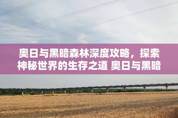 奥日与黑暗森林深度攻略，探索神秘世界的生存之道 奥日与黑暗森林攻略