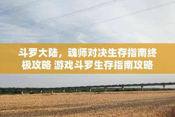 斗罗**，魂师对决生存指南终极攻略 游戏斗罗生存指南攻略