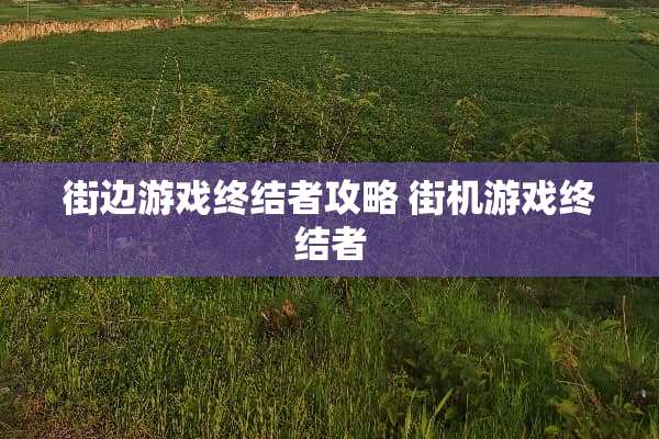 街边游戏终结者攻略 街机游戏终结者