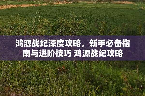 鸿源战纪深度攻略，新手必备指南与进阶技巧 鸿源战纪攻略