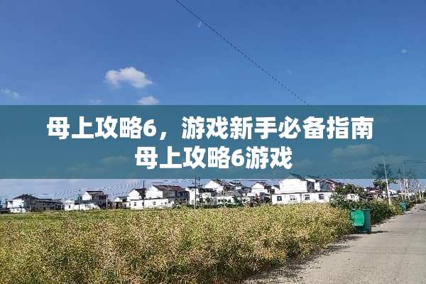 母上攻略6，游戏新手必备指南 母上攻略6游戏