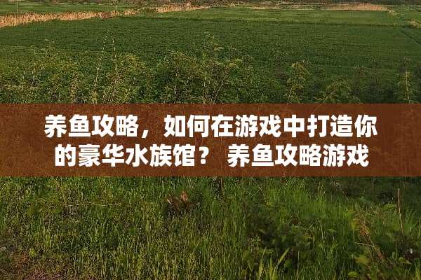 养鱼攻略，如何在游戏中打造你的豪华水族馆？ 养鱼攻略游戏