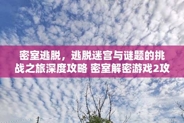 密室逃脱，逃脱迷宫与谜题的挑战之旅深度攻略 密室解密游戏2攻略