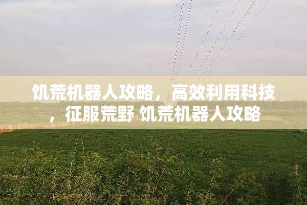 饥荒机器人攻略，高效利用科技，征服荒野 饥荒机器人攻略