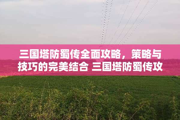 三国塔防蜀传全面攻略，策略与技巧的完美结合 三国塔防蜀传攻略