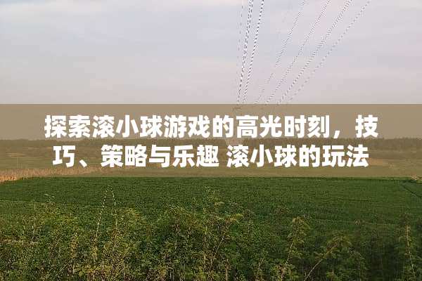探索滚小球游戏的高光时刻，技巧、策略与乐趣 滚小球的玩法