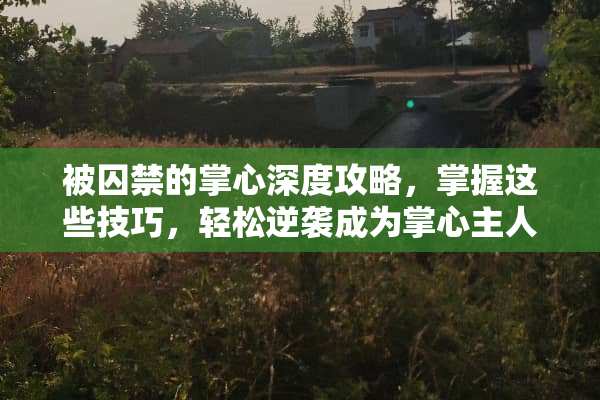 被囚禁的掌心深度攻略，掌握这些技巧，轻松逆袭成为掌心主人 被囚禁的掌心攻略