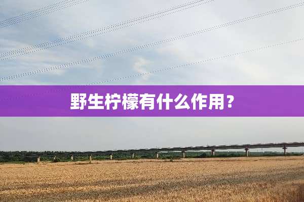 野生柠檬有什么作用？