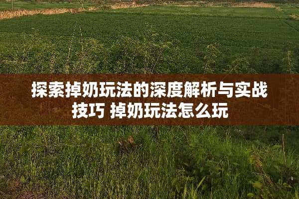 探索掉奶玩法的深度解析与实战技巧 掉奶玩法怎么玩