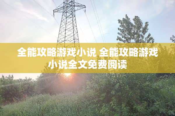 全能攻略游戏小说 全能攻略游戏小说全文免费阅读