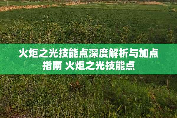 火炬之光技能点深度解析与加点指南 火炬之光技能点