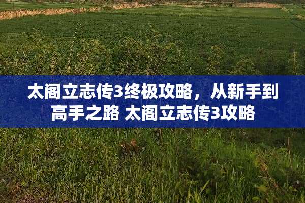 太阁立志传3终极攻略，从新手到高手之路 太阁立志传3攻略