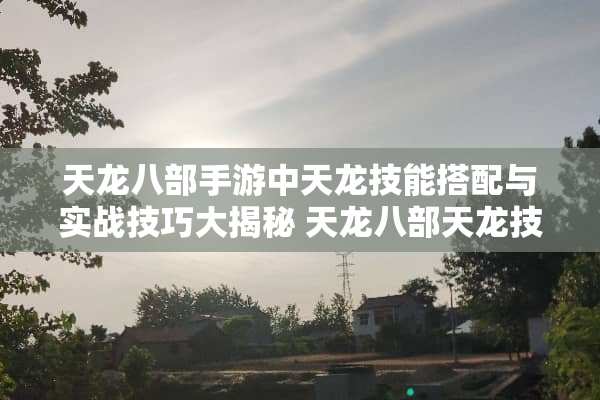 天龙八部手游中天龙技能搭配与实战技巧大揭秘 天龙八部天龙技能